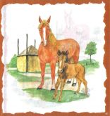 Decor papír - Kůń a hříbě  17 x 45 cm.