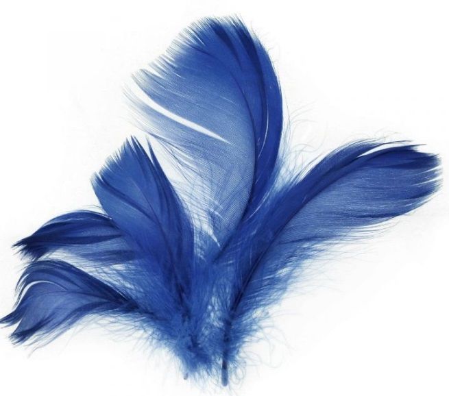 Dekorace peříčka 10ks - modré