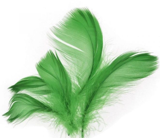 Dekorace peříčka 10ks - zelené