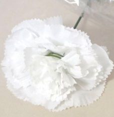 Dekorace vazbová květ Karafiátu 11cm - 1ks - Bílý