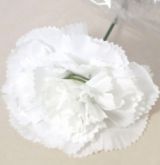 Dekorace vazbová květ Karafiátu 11cm - 1ks | Bílý, Červený, Modrý