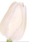 Dekorace plast Tulipán 43cm - 1květ - Žlutý bílo