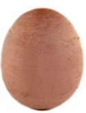 Vajíčko vatové 35x28 mm - červené