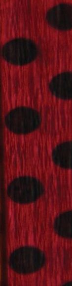Krepový papír s PUNTÍKY 200x50 cm - 1ks - černo červený