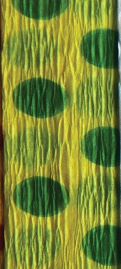 Krepový papír s PUNTÍKY 200x50 cm - 1ks - zeleno žlutý