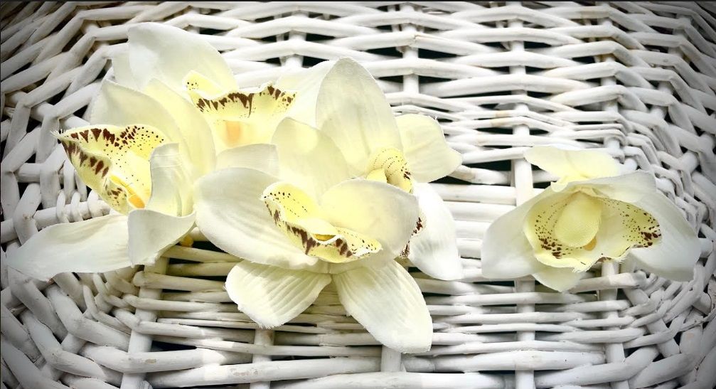 Dekorace vazbová květ ORCHIDEJ cca 9cm - 1ks - Smetanová