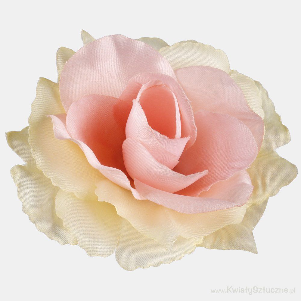 Dekorace vazbová květ RŮŽE cca 11 cm - 1ks - Růžovo-krémová