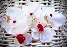 Dekorace vazbová květ ORCHIDEJ cca 9cm - 1ks - Bílo-magenta