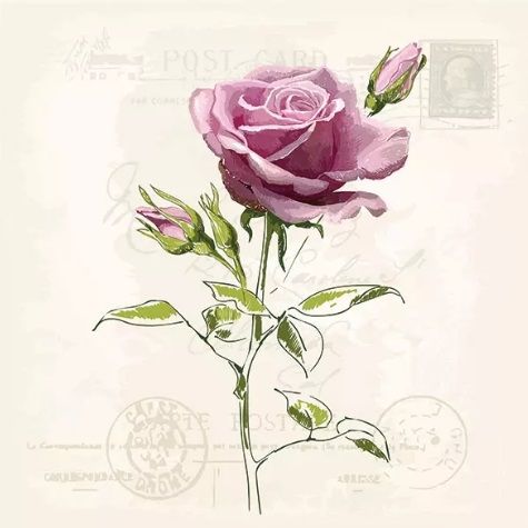 Papírový ubrousek 33x33cm Vintage růže, k hobby tvorbě a výrobu dekorace Ambiente
