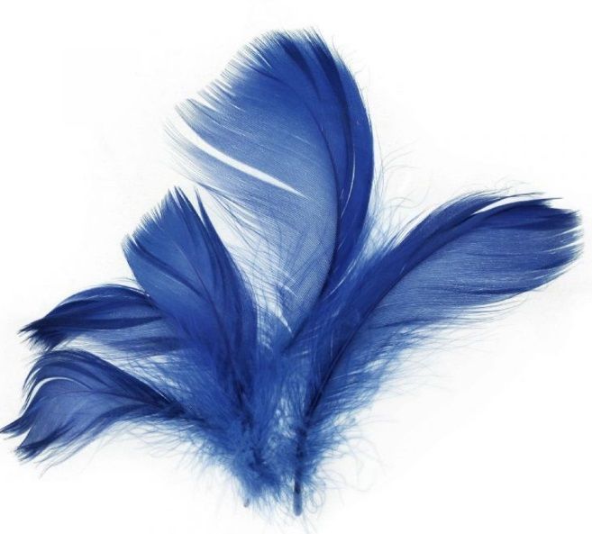 Peříčka k dekoraci 5-12 cm 10g varianty /ekon.bal/ - modré