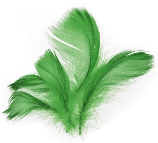 Peříčka k dekoraci 5-12 cm 10g varianty /ekon.bal/ - Jarní zelená
