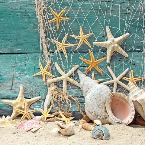 Rybářská síť,hvězdice a mega mušle