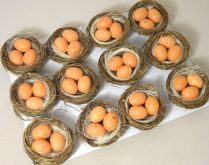 Hnízdo s přírodními vajíčky 60mm - 1ks