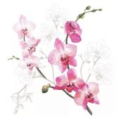 Ubrousek 33x33cm Růžová orchidej 1ks, na tvoření a zábavu