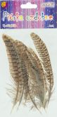 Peří bažantní přírodní 10-15cm - 8ks