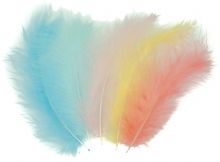 Peří pastelové barvy 10-12cm - 50ks