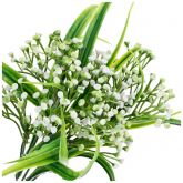 Dekorace umělá větvička Gipsopfilia bílé květy 35cm - 1ks /5větviček/