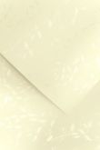 Kreativní oboustranný papír 230g/m2 Listy ivory 20x30cm - 1ks