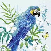 Ubrousek 33x33cm Modrý papoušek