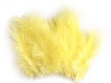 Barvené peří PŠTROSÍ 9-18cm - 20ks - Žlutá