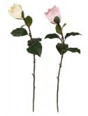 Dekorace květina umělá MAGNOLIE růžová 85cm - 1ks