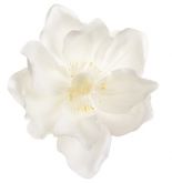 Dekorace pěnový květ Magnolie cca 16cm | Ecru, Lososová, Pomeranč, Růžová, Vanilka