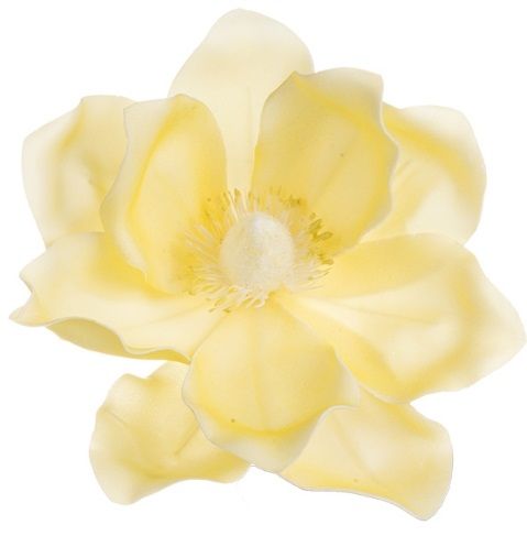 Dekorace pěnový květ Magnolie cca 16cm - Vanilka