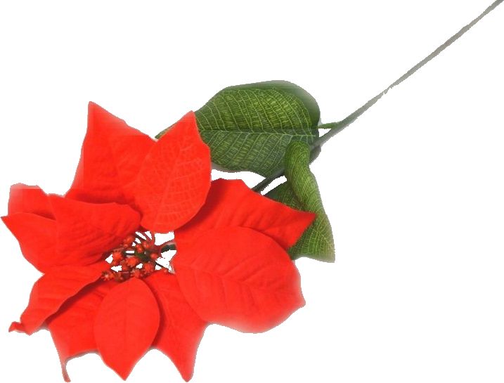 Dekorace umělá Vánoční růže 70cm - 1ks